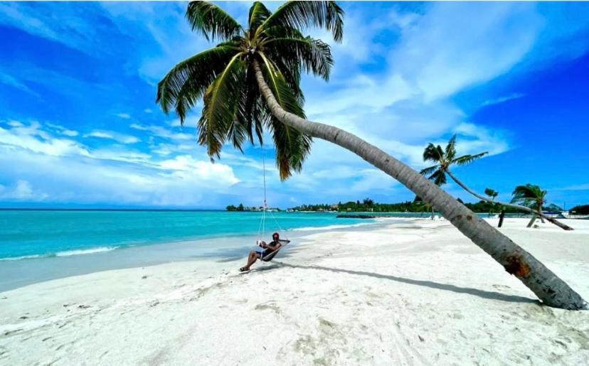 Guraidhoo Palm Inn Eksteriør bilde